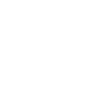 Icon Image 1