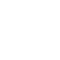 Icon Image 2