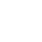 Icon Image 3