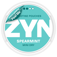 ZYN Spearmint Mini Dry Normal