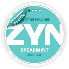 ZYN Spearmint Mini Dry Low