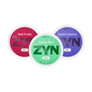 ZYN Mixpaket Slim Normal