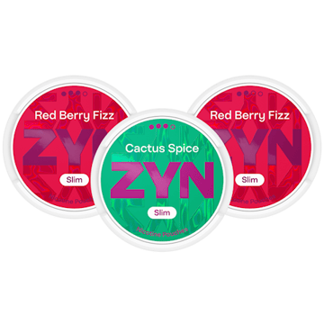ZYN Red Berry Fizz & ZYN Cactus Spice Mixpaket