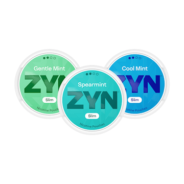 ZYN Mixpaket Mint Normal