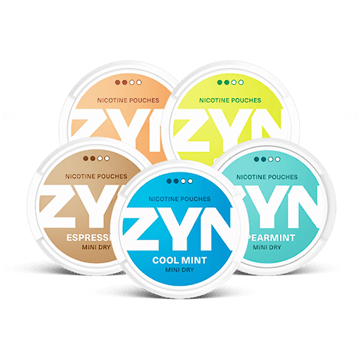 ZYN Mini Mixpaket