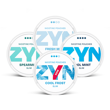 ZYN Mint Mixpaket