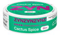 ZYN Cactus Spice Slim Extra Strong thumbnail 3